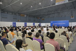 2016成都建博會 現場亮點紛呈，6月將上演重頭戲